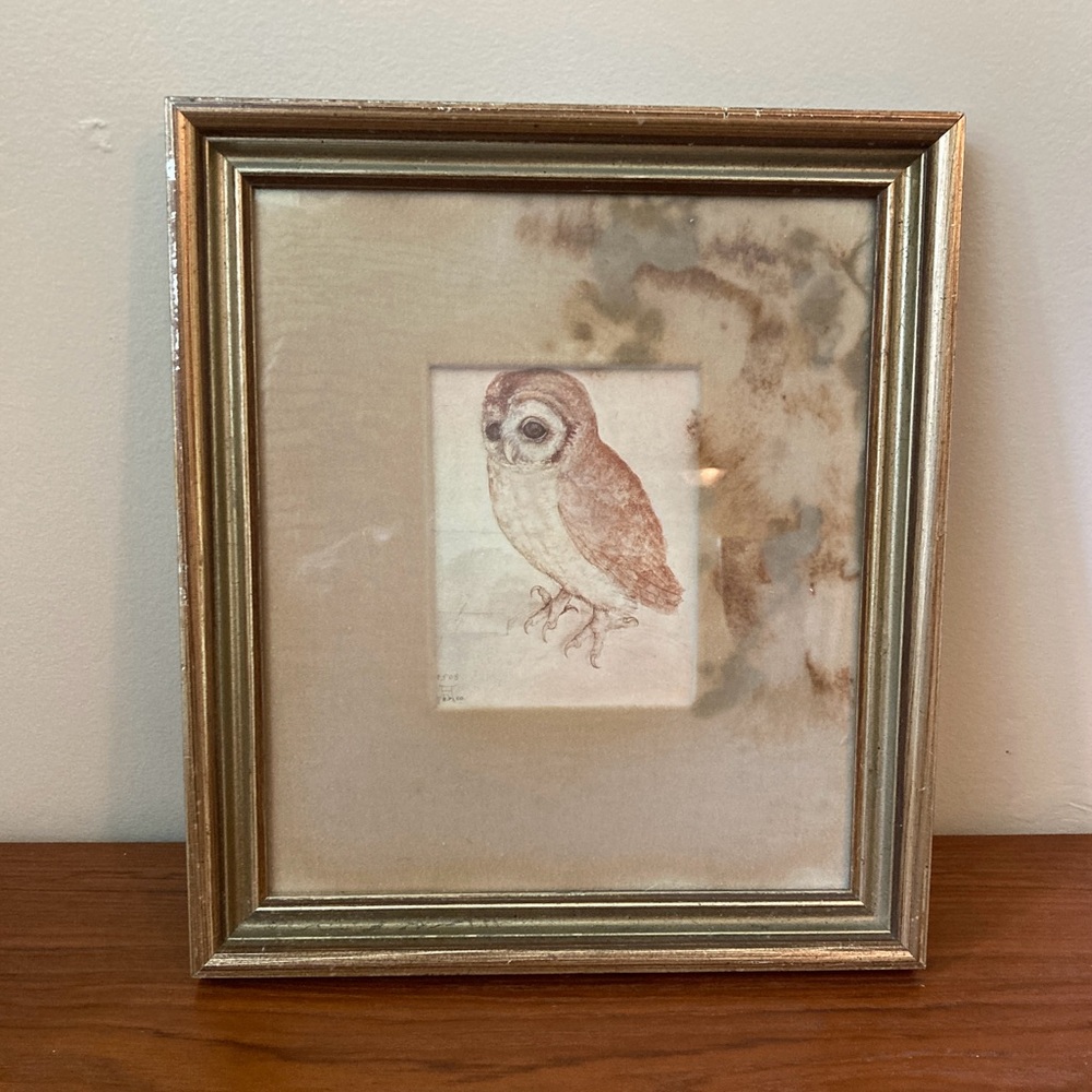 ☘️VTG Albrecht Durer “Little Owl” Ornate Framed Glass Print